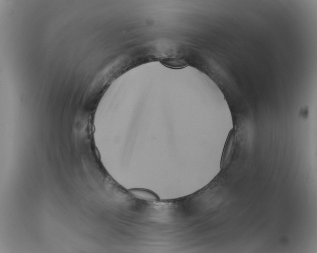 X0000111510233200908251120
