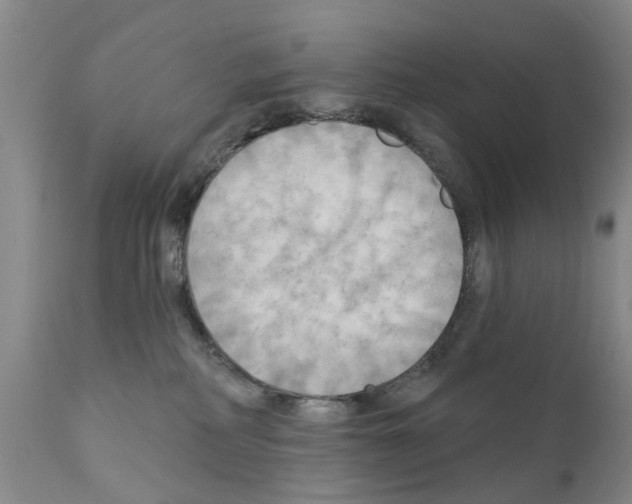 X0000111510234200908251120