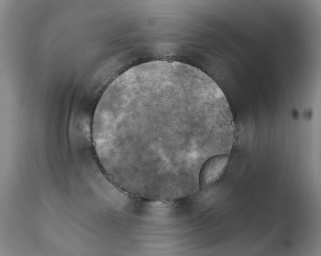 X0000111510238200908251120