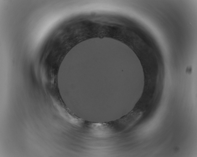 X0000111510239200908251120