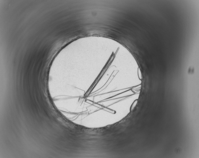 X0000111510241200908251120