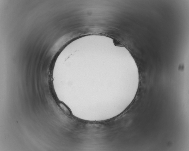 X0000111510242200908251120