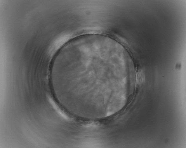 X0000111510243200908251120