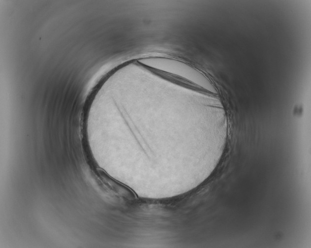 X0000111510244200908251120