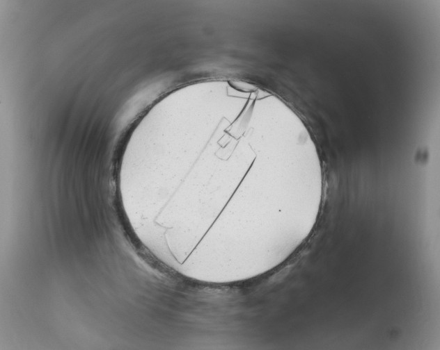 X0000111510245200908251120