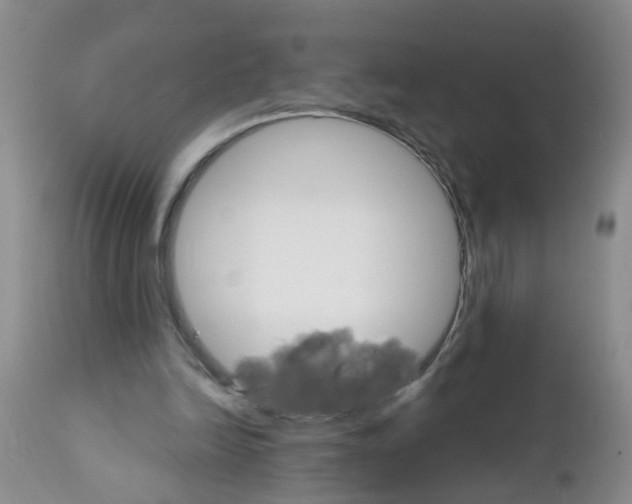 X0000111510246200908251120