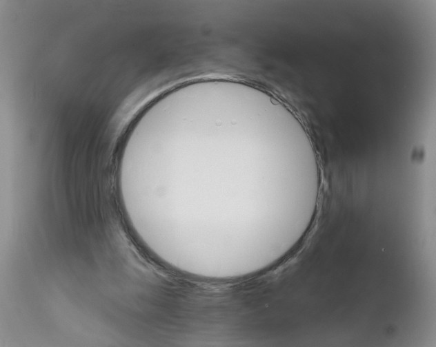 X0000111510247200908251120