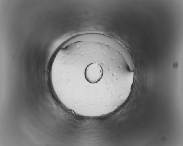 X0000111510248200908251120