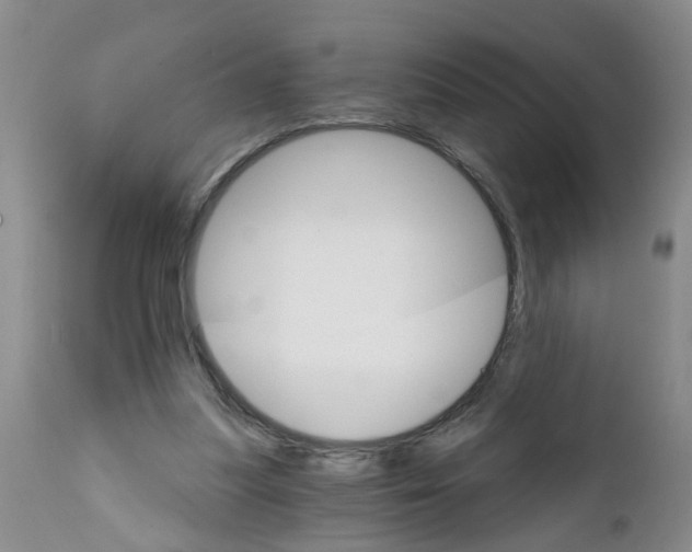 X0000111510251200908251120