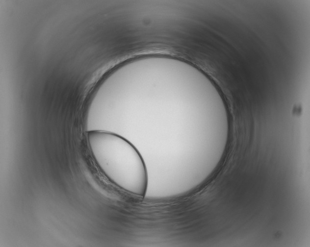 X0000111510252200908251120