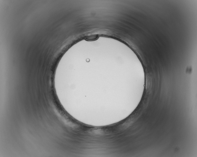 X0000111510253200908251120