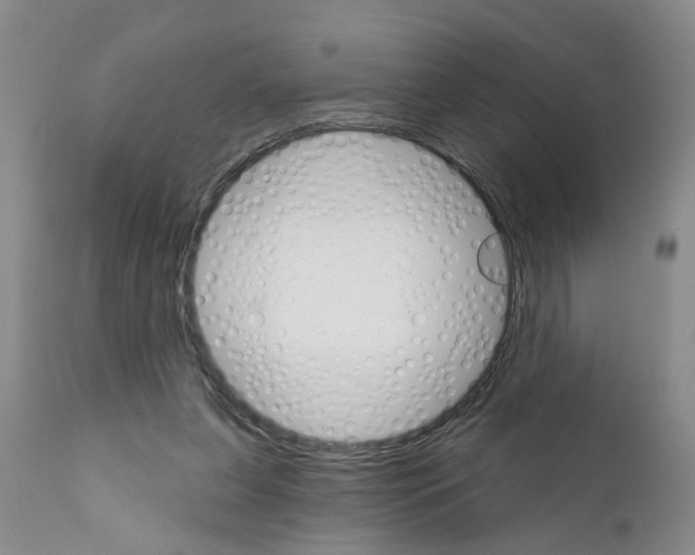 X0000111510255200908251120