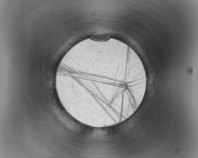 X0000111510257200908251120