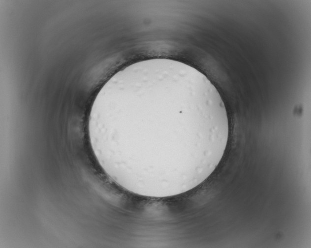 X0000111510258200908251120