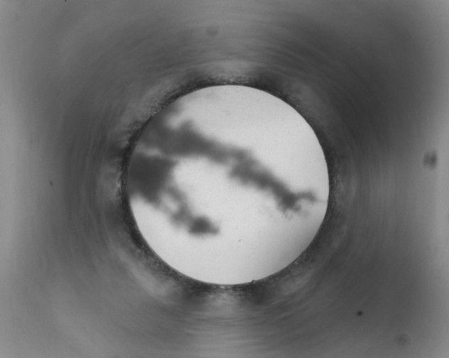 X0000111510259200908251120