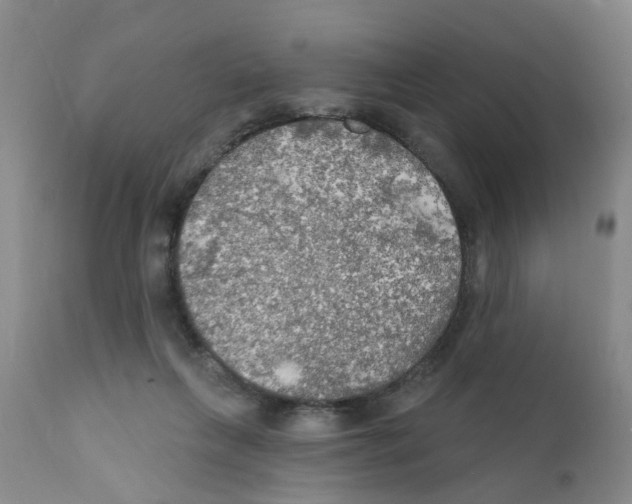 X0000111510263200908251120