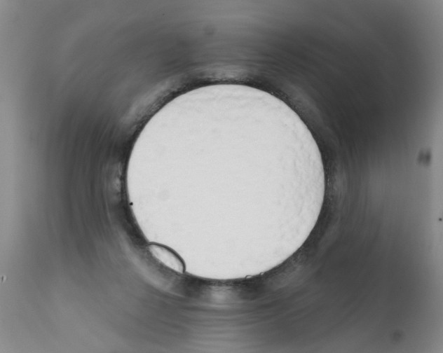 X0000111510264200908251120