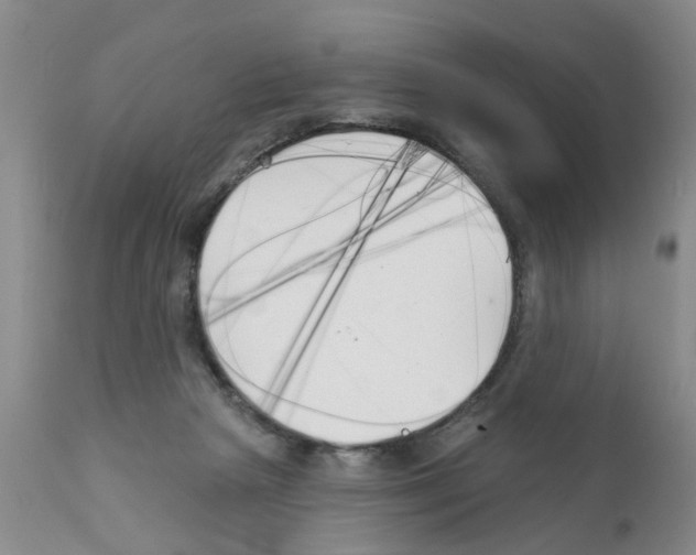 X0000111510265200908251120