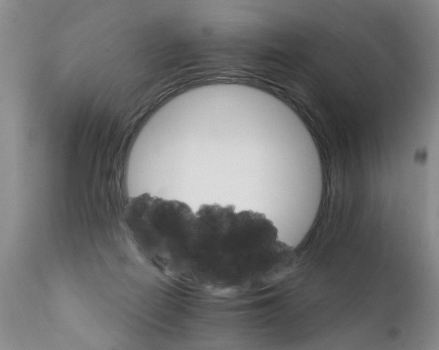 X0000111510266200908251120