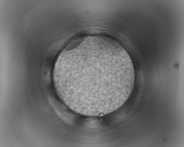 X0000111510267200908251120