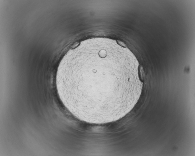X0000111510268200908251120
