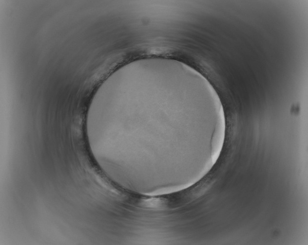 X0000111510269200908251120