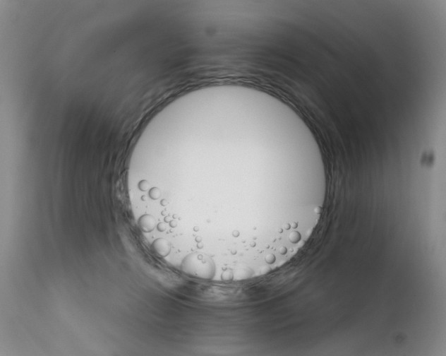 X0000111510270200908251120