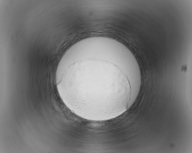 X0000111510272200908251120
