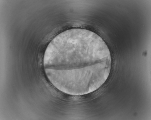 X0000111510273200908251120