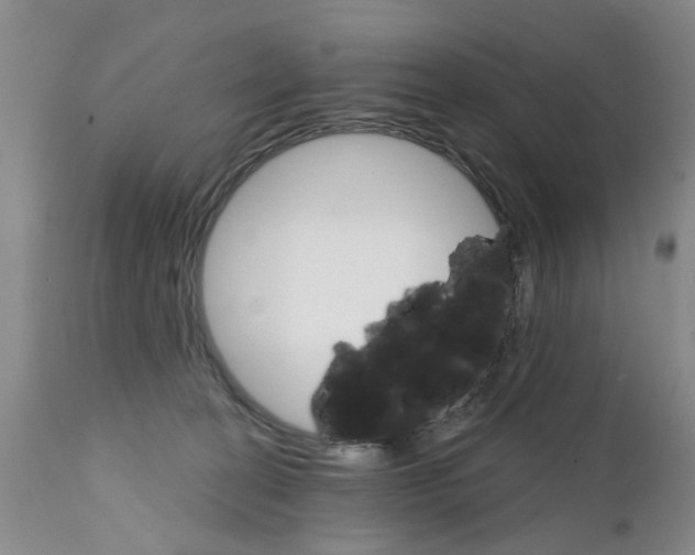 X0000111510274200908251120