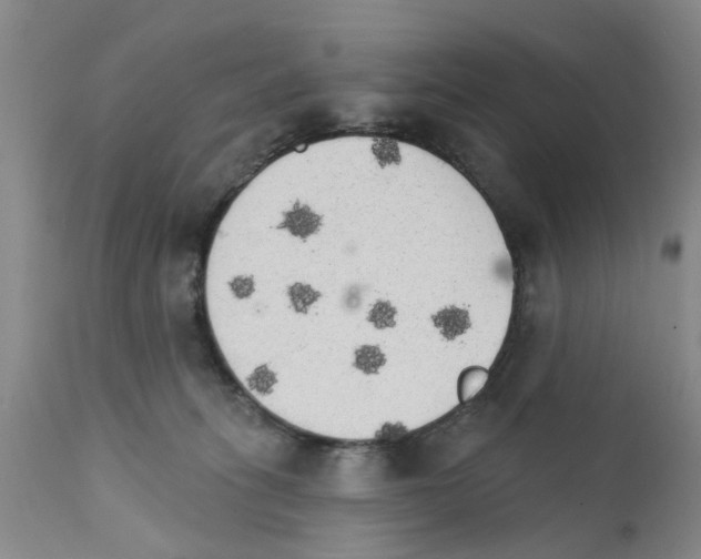 X0000111510275200908251120