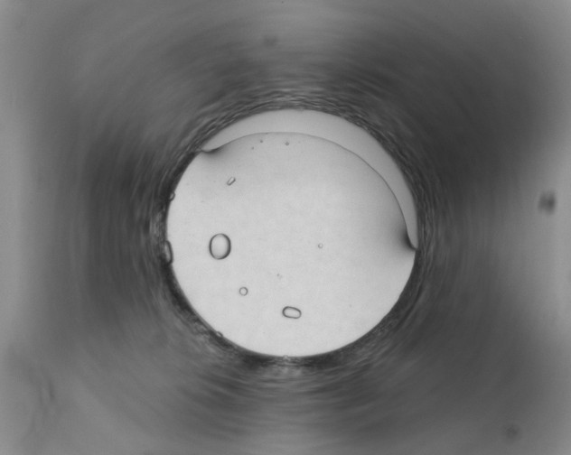 X0000111510276200908251120
