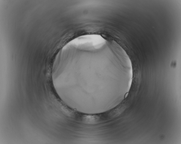 X0000111510277200908251120