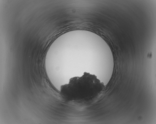X0000111510278200908251120