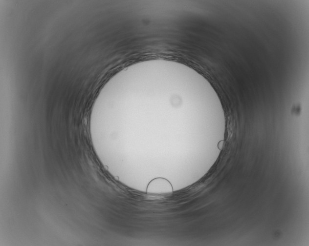 X0000111510279200908251120