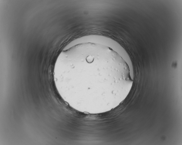 X0000111510280200908251120