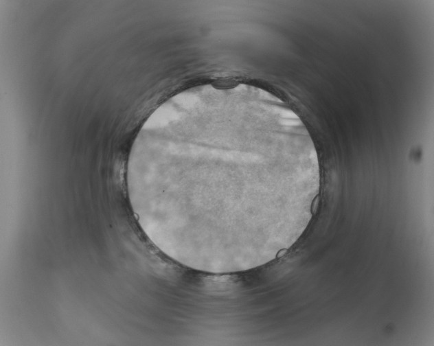 X0000111510281200908251120