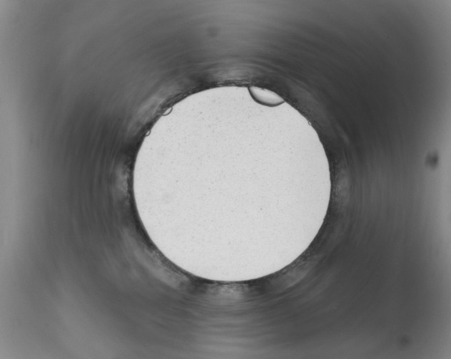 X0000111510282200908251120