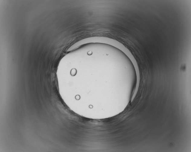 X0000111510284200908251120