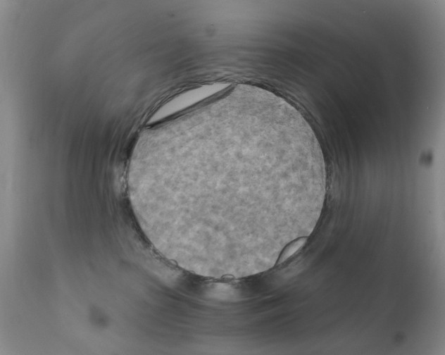 X0000111510285200908251120