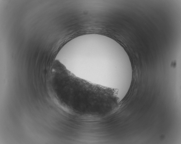 X0000111510286200908251120