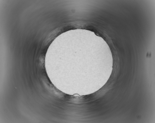 X0000111510288200908251120