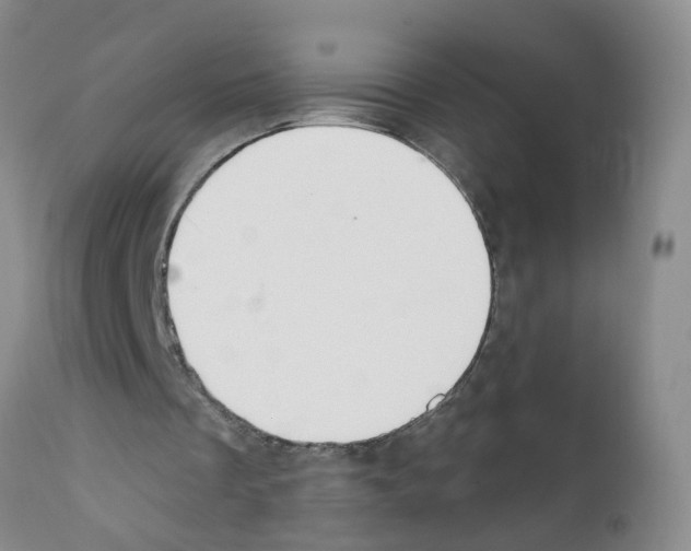 X0000111510289200908251120