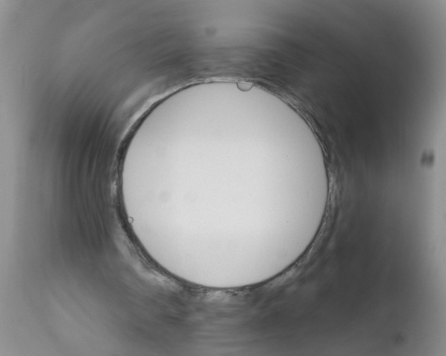 X0000111510290200908251120