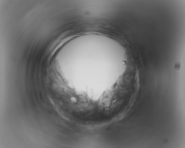 X0000111510291200908251120