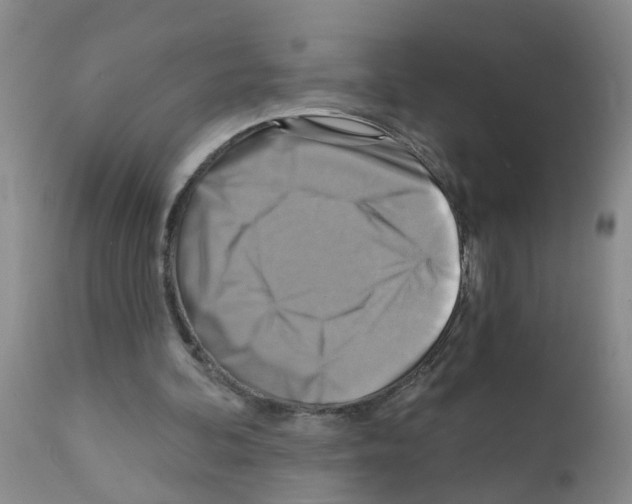X0000111510292200908251120
