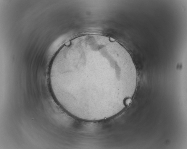 X0000111510293200908251120