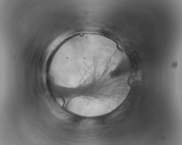 X0000111510294200908251120