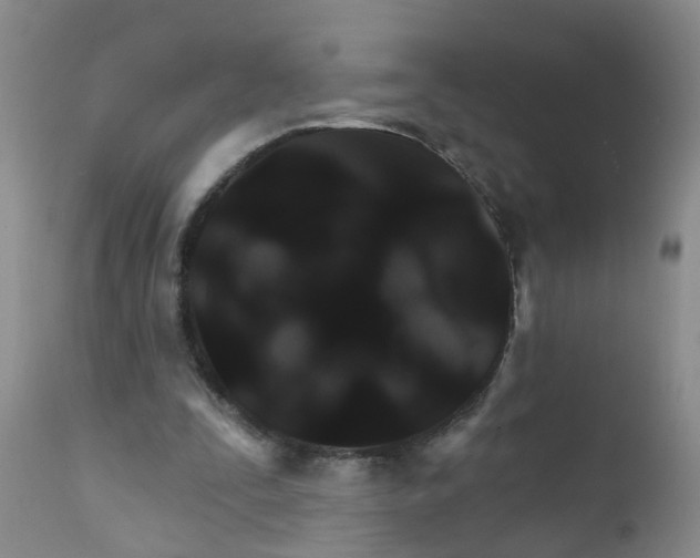 X0000111510295200908251120