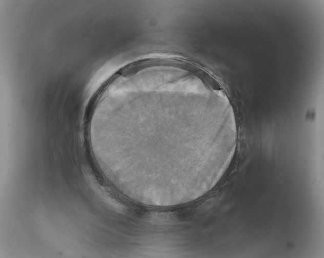 X0000111510296200908251120